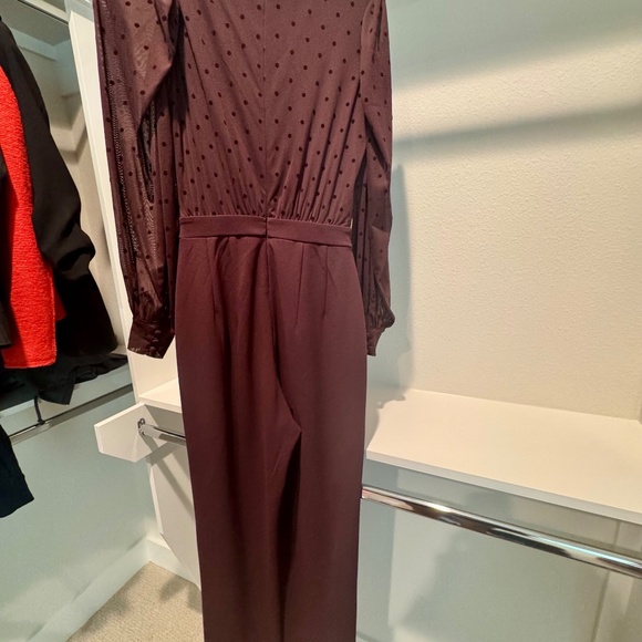 Express Long Sleeve Swiss Dot Jumpsuit – Burgundy - Picture 3 of 3